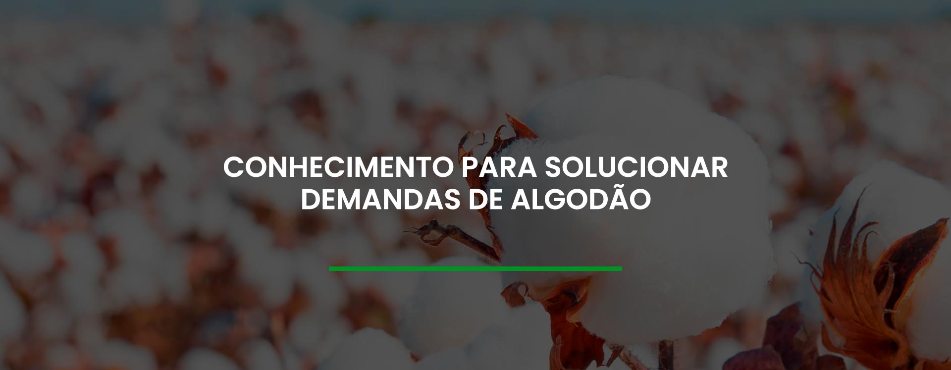 Conhecimento para solucionar demandas de algodão